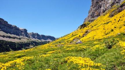 Pirineo oscense. / Canva