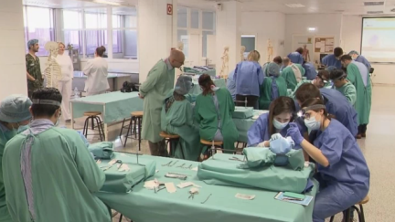 Imagen de archivo de estudiantes de Medicina.