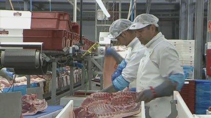 Trabajadores de la una empresa cárnica de Huesca.