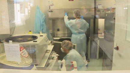 La tuberculosis mata cada día a más de 4.000 personas en todo el mundo.