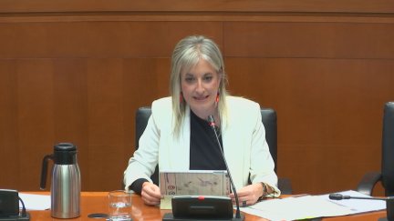 Raquel Fuertes, en su comparecencia de este lunes en las Cortes de Aragón.