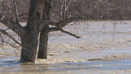 El Ebro ha provocado inundaciones en algunos campos de Navarra.
