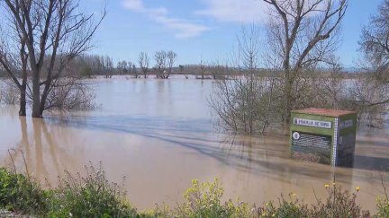 El Ebro, a su paso por Pradilla.