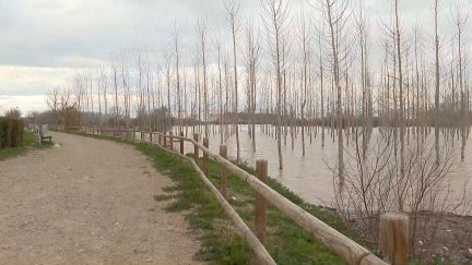 El río Ebro este jueves por la tarde a su paso por Alcalá de Ebro.