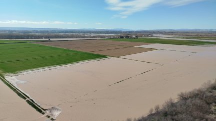 Campos inundados en Alagón tras la última riada del Ebro.