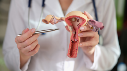 Se espera que a finales de siglo el VPH deje de ser un problema de salud pública. / Canva