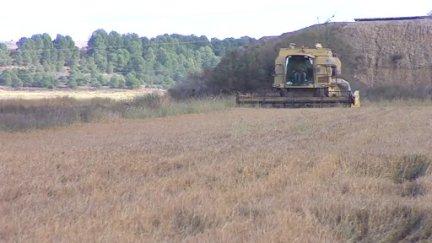 Las empresas aragonesas tienen muchos problemas para cubrir las demandas laborales del campo