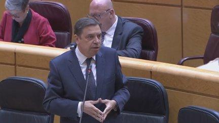 El ministro Luis Planas interviene en el Senado.