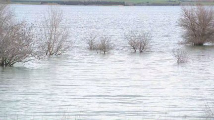 Los embalses del Ebro están al 70% de su capacidad.