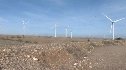 El Gobierno de Aragón calcula que podrá recaudar más de 30 millones de euros al año con los nuevos impuestos a las renovables.