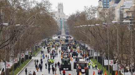 Agricultores y ganaderos participan en una tractorada de protesta en Madrid este domingo. / EFE