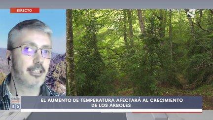 Árboles a cotas más altas