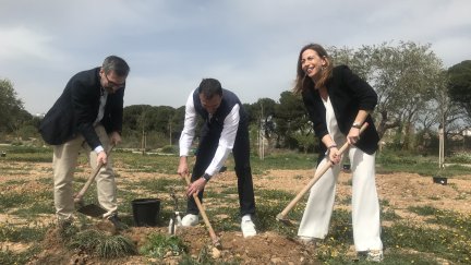 La alcaldesa de Zaragoza, Natalia Chueca, en la plantación de El Bosque de los Zaragozanos. / Europa Press