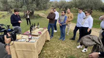 Una de las paradas del recorrido de los compradores internacionales, de la mano de AREX. / Gobierno de Aragón