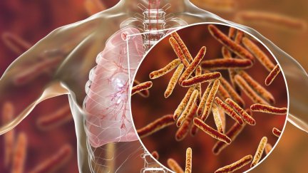 Simulación de la bacteria causante de la tuberculosis.