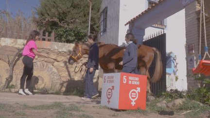 Proyecto ganador de Reactivadas 2023.