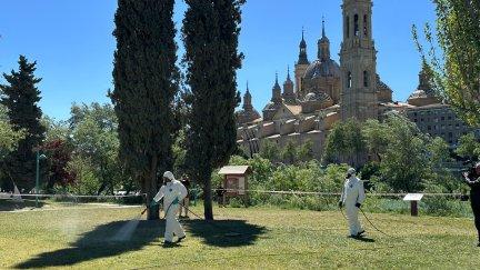 Tratamiento contra las garrapatas en Macanaz. / Ayuntamiento de Zaragoza