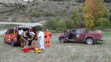 Operativo para retirar un nido de avispa asiática en Aragón. | Gobierno de Aragón