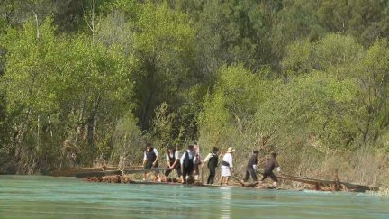 Las nabatas han vuelto al río este domingo.