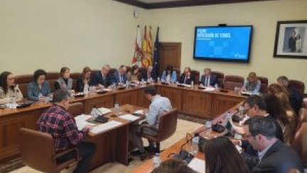 Pleno de la DPT este jueves. / DPT.