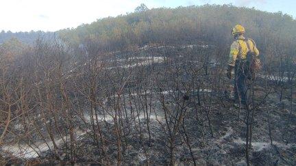 Un bombero trabaja en la zona afectada. / Twitter Bombers de la Generalitat