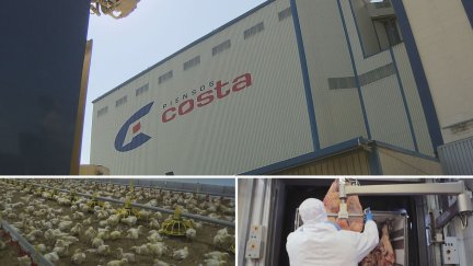 Instalaciones del Grupo Costa.