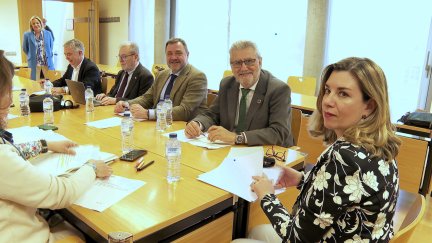 La consejera Claudia Pérez Forniés ha presidido la comisión técnica.