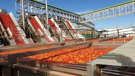 Industria tomatera./ Europa Press