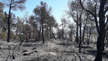 Las llamas han calcinado 80 hectáreas.