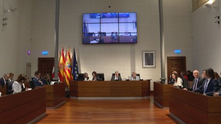 Pleno de la DPZ este miércoles.