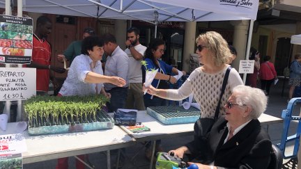 Reparto de plantero en Barbastro.