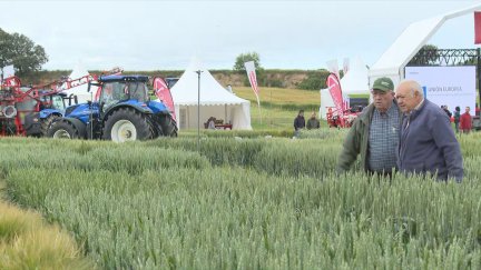 Una de las parcelas de CULTIVA.