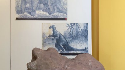 Descubren que el Iguanodon caminaba apoyado en sus cuatro patas.