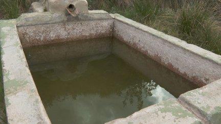 En el Maestrazgo se están secando los manantiales.