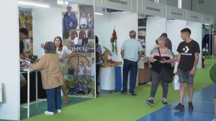 Proxeco, la Feria de Productos Ecológicos y de Proximidad de la Comarca Campo de Belchite, se celebra este fin semana en Lécera.