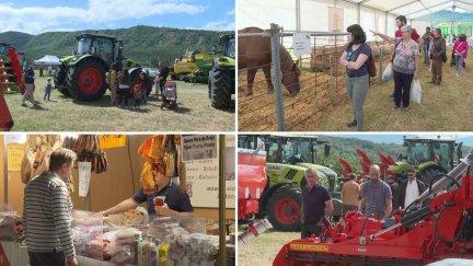 Puenta la Reina (Huesca) acoge este fin de semana Expoforga, la feria de la Jacetania.