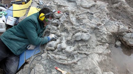 Un arqueólogo de la Fundación Dinópilis analiza los restos. / Fundación Dinópolis