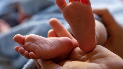 Sanidad financiará a partir del 1 de octubre la vacuna para los nacidos a partir de agosto. / Gobierno de Aragón