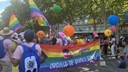 La manifestación estatal del Orgullo 2024 contará con 92 pancartas y 51 carrozas. / Europa Press