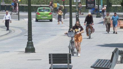 Los termómetros rozarán este jueves los 40 grados en muchos puntos de la provincia de Zaragoza. / Aragón TV