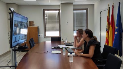 Aragón ha participado vía videoconferencia en la Conferencia Sectorial de la Inmigración este lunes. / Gobierno de Aragón
