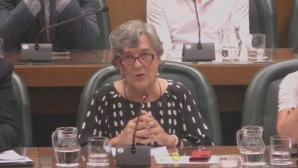 Inés Ayala ha fallecido este jueves a los 67 años. / Aragón TV
