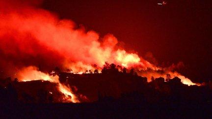 El incendio de California es el más grande de 2024. / EFE