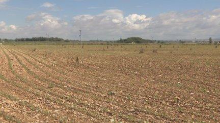 Nueva fase de ayudas a los afectados por la sequía. / Archivo