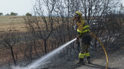 Extinguido el incendio del Pueyo de Araguás./ Gobierno de Aragón