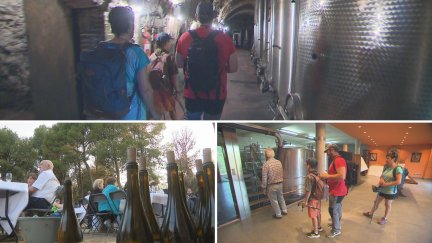 Aragón cuenta con cuatro rutas enoturistas: Cariñena, Garnacha (en la comarca de Borja), Somontano y Calatayud. / Aragón TV
