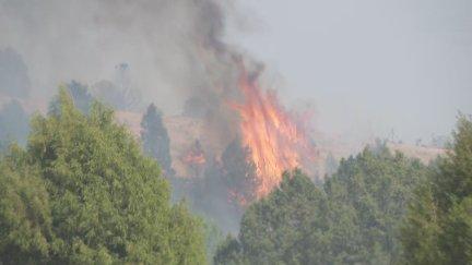 Se ha activado la situación operativa 2 de la fase de emergencia. / Infoar