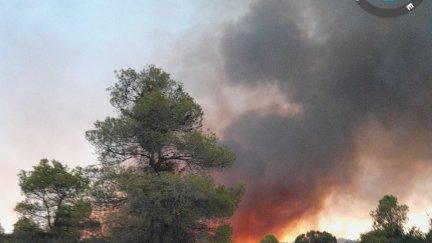 El incendio se ha declarado en la tarde de este lunes. / Gobierno de Aragón