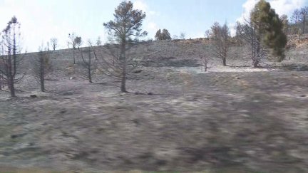 Zona calcinada en el incendio de Corbalán. / Aragón TV