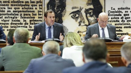 El ministro de Transportes ha comparecido este viernes en el Senado para dar explicaciones sobre las numerosas incidencias en la red ferroviaria. / EFE